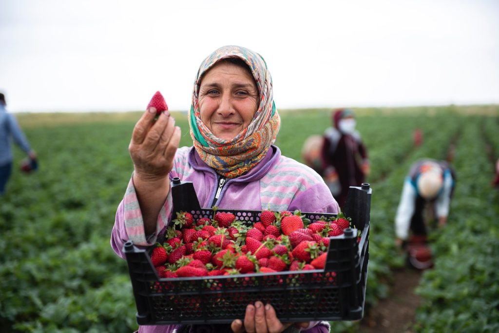 les femmes rurale agriculteuses en tunisie